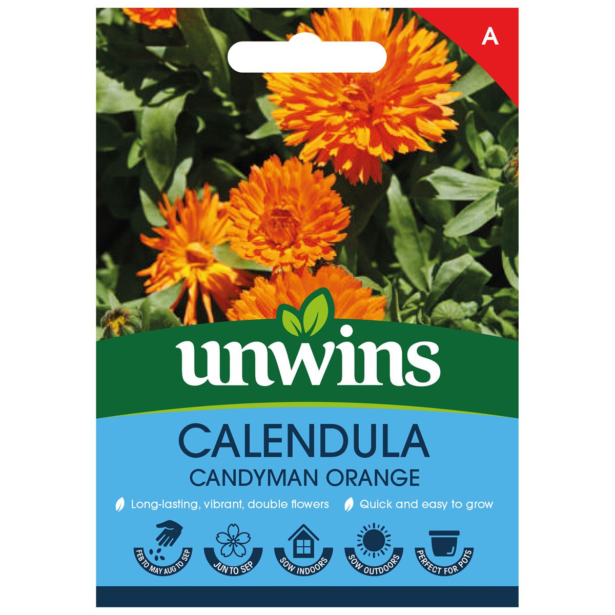 5051618027328 1 Calendula Candyman Orange Seeds.jpg